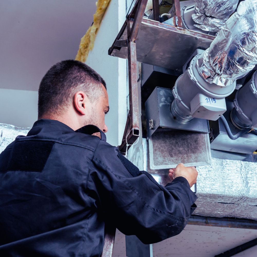 Inspection & Survey Services