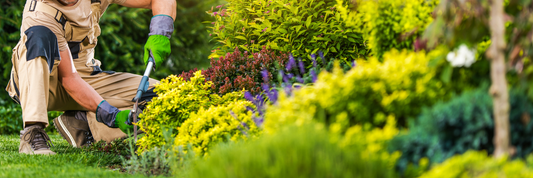 8 Common Mistakes To Avoid In Grounds Maintenance