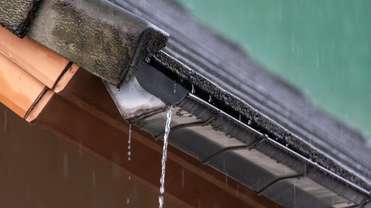 The Hidden Dangers of Heavy Rain After a Drought: What Property Owners Need to Know