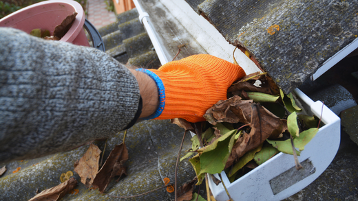 Clearing Out Your Gutters - Why It's Important (And How Ground Up Can Help!)