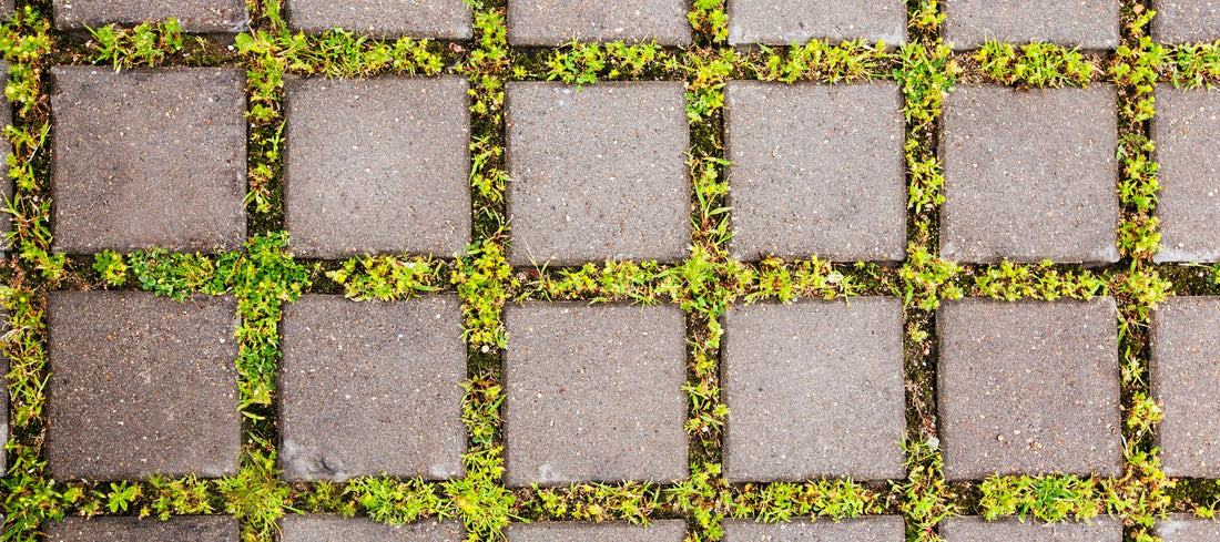Lifting and Re-Laying Pathway Slabs for a Lasting Finish