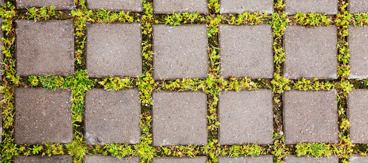 Lifting and Re-Laying Pathway Slabs for a Lasting Finish