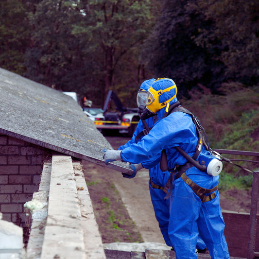 Asbestos Survey
