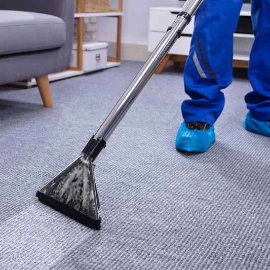 Carpet Cleaning