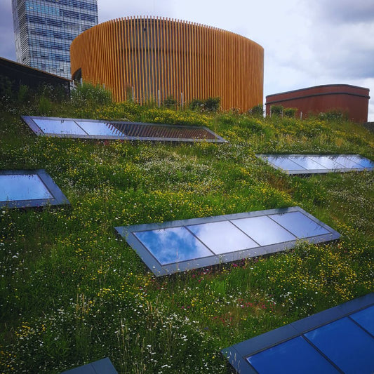 Green Building Upgrades