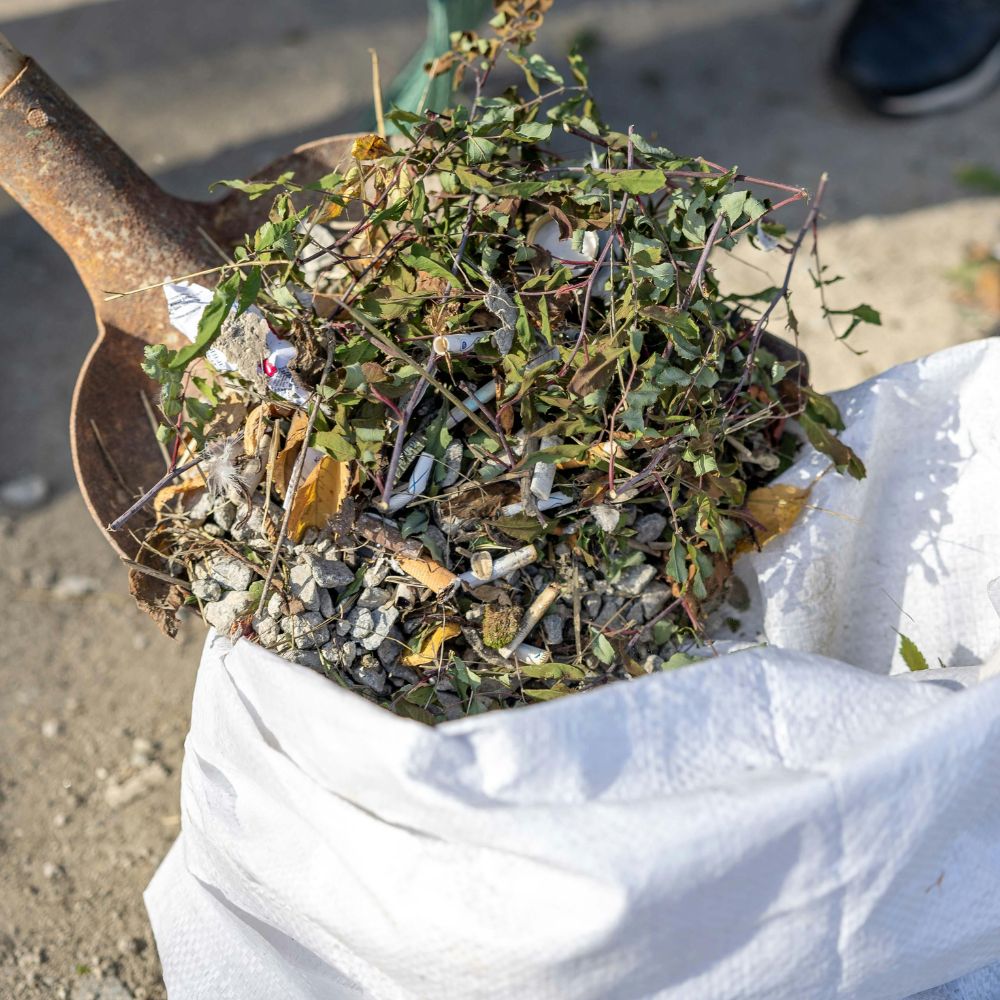 Litter & Leaf Clearance