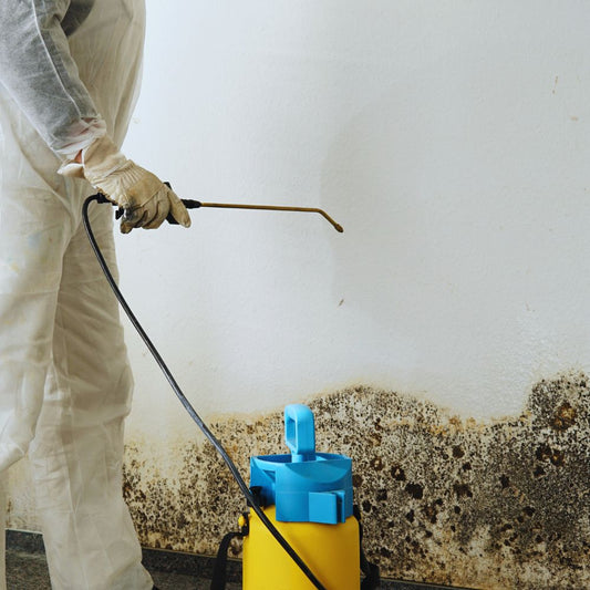 Mould Remedials