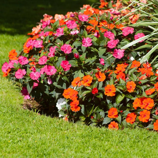 Seasonal Planting & Floral Displays