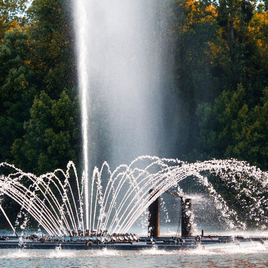 Water Feature & Pond Care