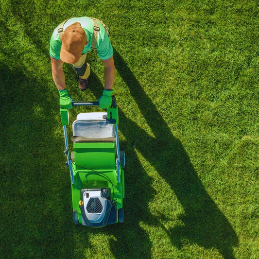 Lawn Care